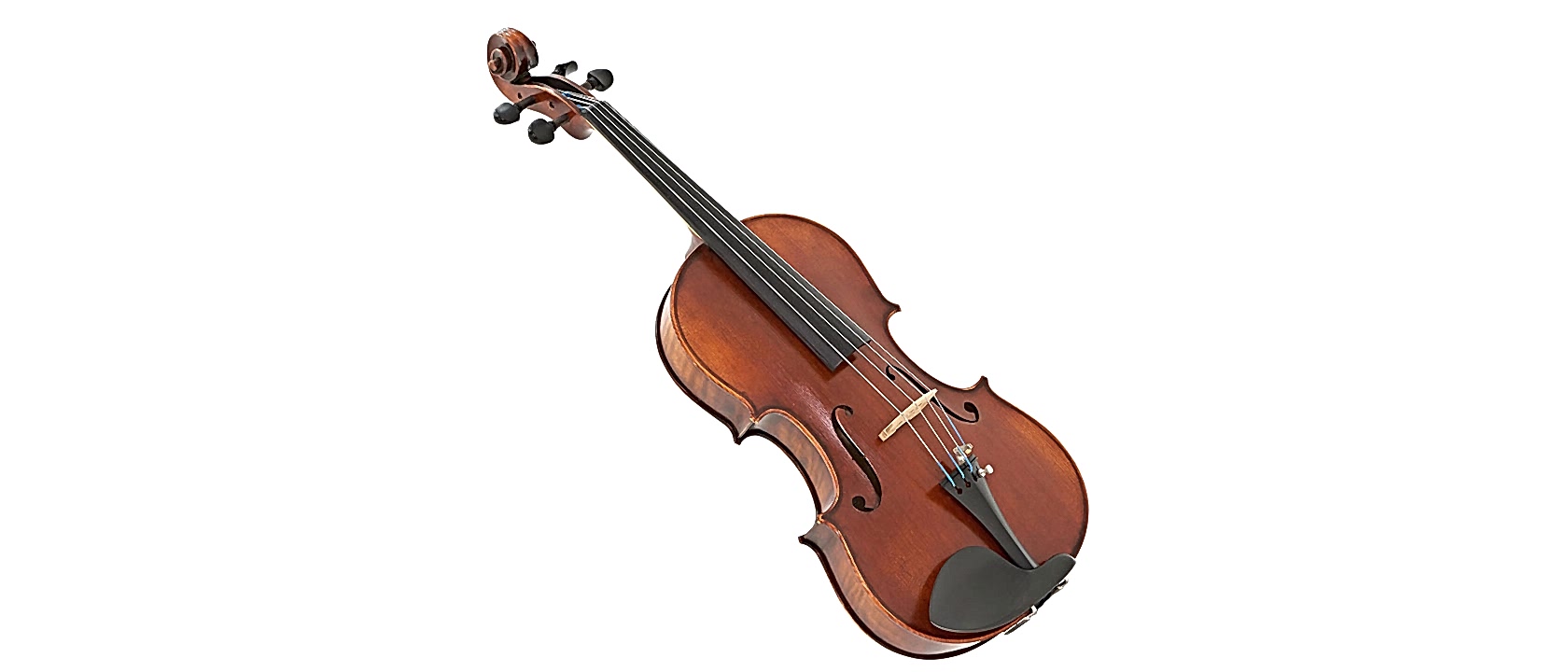 Viola